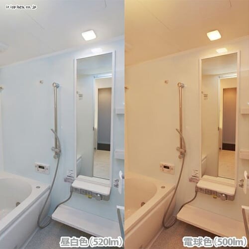 �y�󂠂�zLED�|�[�`�E������ �p�^ �����F 520lm CL5N-SQPLS-BS_4