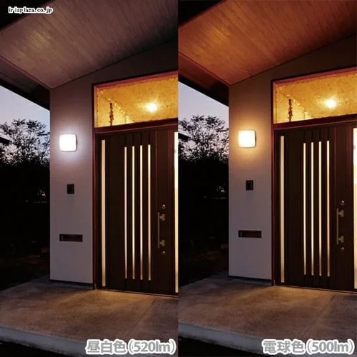 �y�󂠂�zLED�|�[�`�E������ �p�^ �����F 520lm CL5N-SQPLS-BS_5