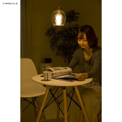 ガラス製 LED ペンダントライト Pilkku【ピルコシリーズ】 PL5L-E17PI