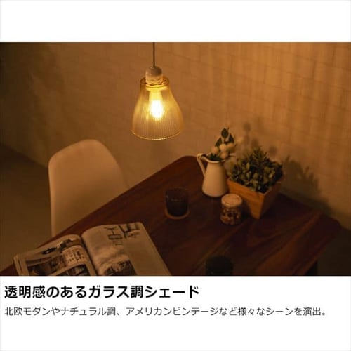 ペンダントライト ガラス製 E17 Sサイズ Lapinシリーズ PL5L-E17CG1-T