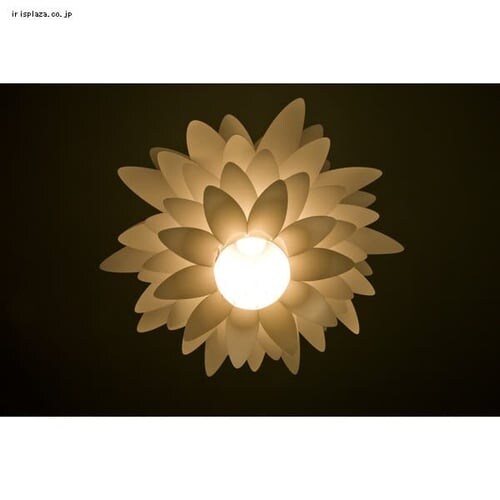 �y���_���g���C�g LED �v���V�[�g�� �j�[�h���^ E26 Arikki�V���[�Y PL8L-E26AKN_5