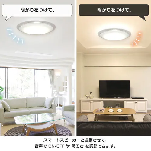 �y�󂠂�zLED�V�[�����O���C�g �f�U�C���t���[���^�C�v6.0 8������ AI�X�s�[�J�[ CL8D-6.0AIT_6