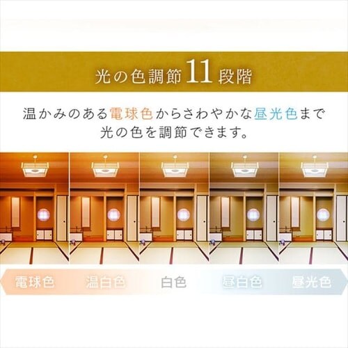 �a���y���_���g���C�g ���^���T�[�L�b�g�V���[�Y 12�� �㉺���F �H�i�q PLM12DL/DL-HG_7