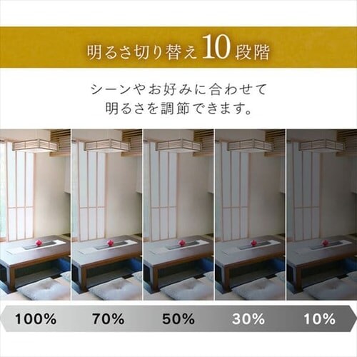 �a���y���_���g���C�g ���^���T�[�L�b�g�V���[�Y 12�� �㉺���F �H�i�q PLM12DL/DL-HG_8