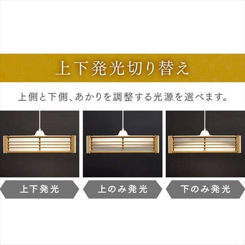 �a���y���_���g���C�g ���^���T�[�L�b�g�V���[�Y 12�� �㉺���F �H�i�q PLM12DL/DL-HG_9