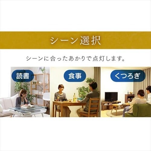 �a���y���_���g���C�g ���^���T�[�L�b�g�V���[�Y 12�� �㉺���F �H�i�q PLM12DL/DL-HG_10