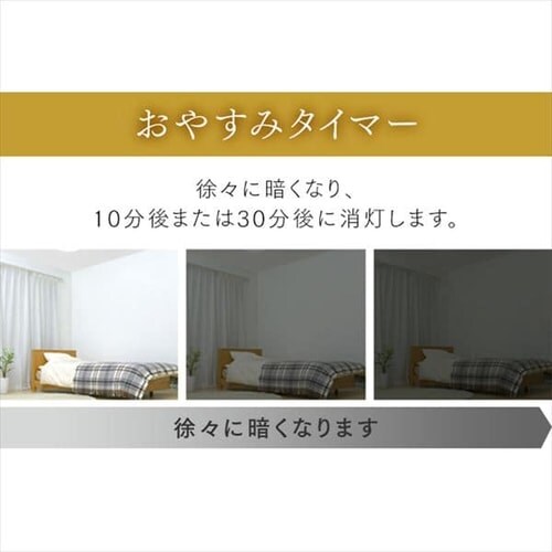 �a���y���_���g���C�g ���^���T�[�L�b�g�V���[�Y 12�� �㉺���F �H�i�q PLM12DL/DL-HG_11