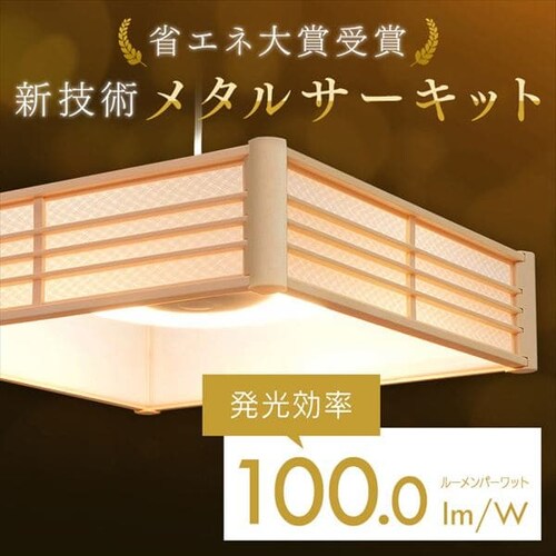 �a���y���_���g���C�g ���^���T�[�L�b�g�V���[�Y 12�� �㉺���F �H�i�q PLM12DL/DL-HG_13