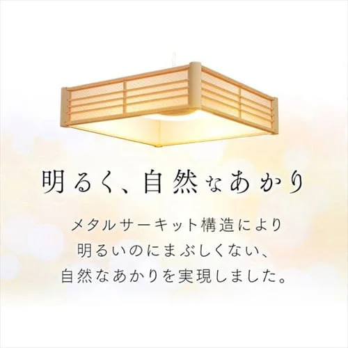 �a���y���_���g���C�g ���^���T�[�L�b�g�V���[�Y 12�� �㉺���F �H�i�q PLM12DL/DL-HG_14