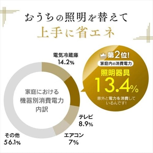 �a���y���_���g���C�g ���^���T�[�L�b�g�V���[�Y 12�� �㉺���F �H�i�q PLM12DL/DL-HG_15