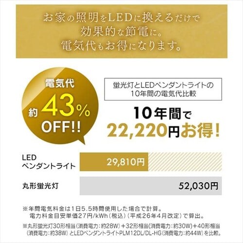 �a���y���_���g���C�g ���^���T�[�L�b�g�V���[�Y 12�� �㉺���F �H�i�q PLM12DL/DL-HG_16