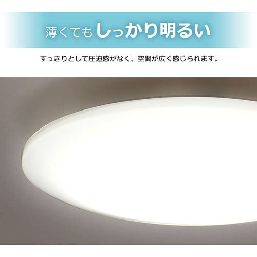 �y�󂠂�zLED�V�[�����O���C�g 6.0 8������ AI�X�s�[�J�[RMS CL8D-6.0HAIT_10