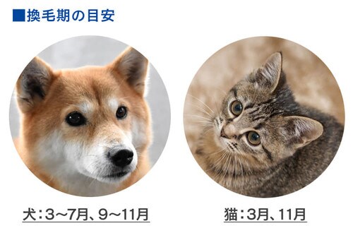 ��C����@ 14�� �R���p�N�g PMAC-100_10