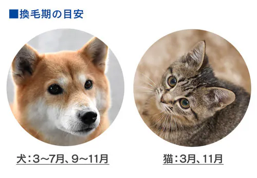 ��C����@ 14�� �ق���Z���T�[ �}�C�i�X�C�I�� �������ȒP PMAC-100-S �z���C�g_12