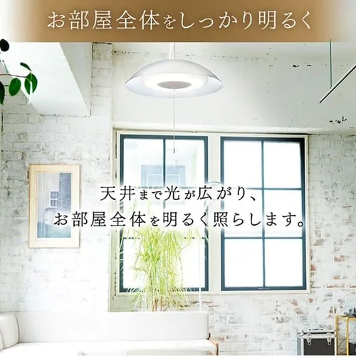 �m��LED�y���_���g���C�g ���^���T�[�L�b�g�V���[�Y ��^ 8�� PLM8D-YA_5