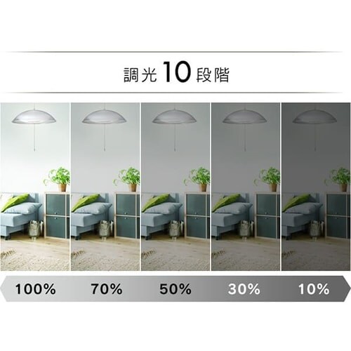 �m���y���_���g���C�g ���^���T�[�L�b�g�V���[�Y ��^ 6�� PLM6DL-YA_8