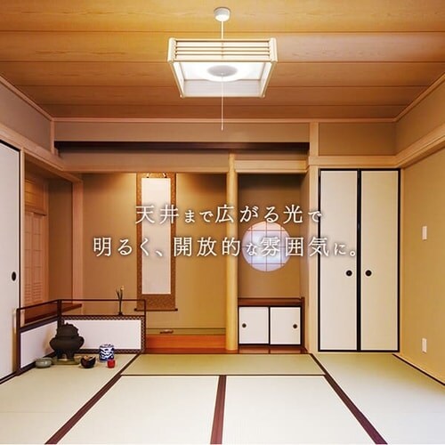 �a��LED�y���_���g���C�g ���^���T�[�L�b�g�V���[�Y 12�� PLM12D-J_12