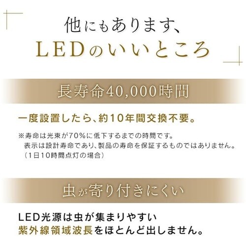 �a��LED�y���_���g���C�g ���^���T�[�L�b�g�V���[�Y 12�� PLM12D-J_15