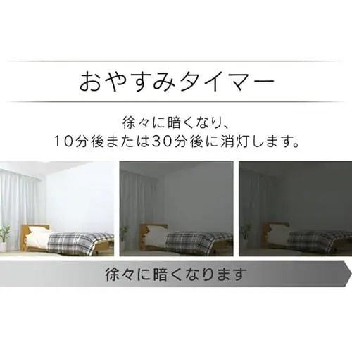 �y���_���g���C�g �a�� 6�� ����/���F ���^���T�[�L�b�g�V���[�Y PLM6DL-J_10