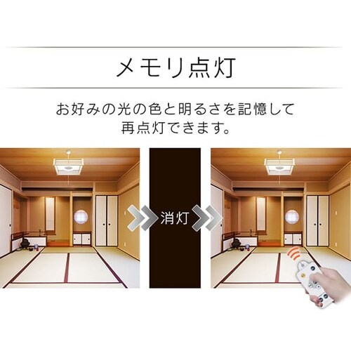 �y���_���g���C�g �a�� 6�� ����/���F ���^���T�[�L�b�g�V���[�Y PLM6DL-J_11