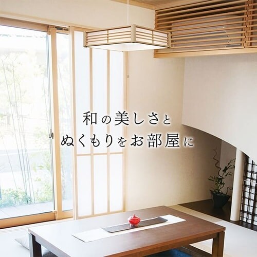 �a���y���_���g���C�g ���^���T�[�L�b�g�V���[�Y 12�� PLM12DL-J_3