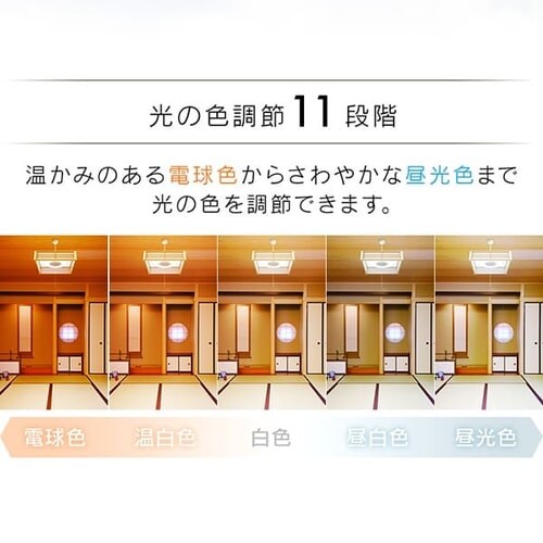 �a���y���_���g���C�g ���^���T�[�L�b�g�V���[�Y 12�� PLM12DL-J_8