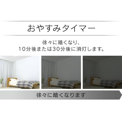 �a���y���_���g���C�g ���^���T�[�L�b�g�V���[�Y 12�� PLM12DL-J_10