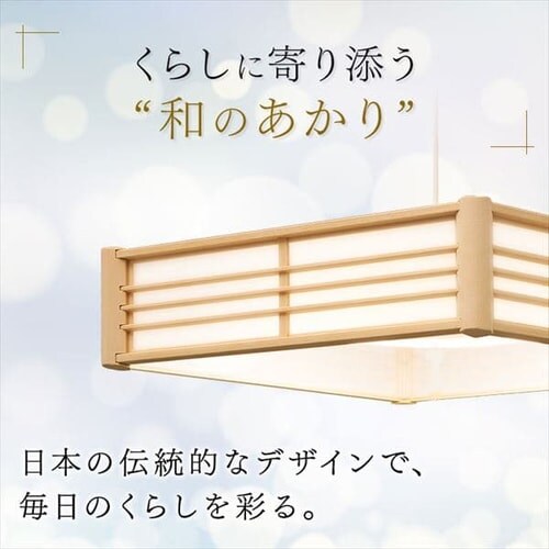 �y�󂠂�z�y���_���g���C�g �a�� 6�� �㉺���F ���^���T�[�L�b�g�V���[�Y PLM6DL/DL-J_3