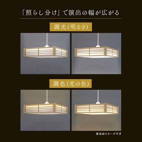 �y�󂠂�z�y���_���g���C�g �a�� 6�� �㉺���F ���^���T�[�L�b�g�V���[�Y PLM6DL/DL-J_6