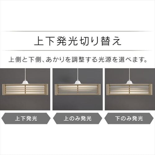 �y�󂠂�z�y���_���g���C�g �a�� 6�� �㉺���F ���^���T�[�L�b�g�V���[�Y PLM6DL/DL-J_10