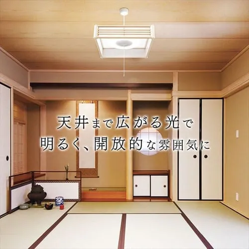 �y�󂠂�z�y���_���g���C�g �a�� 6�� �㉺���F ���^���T�[�L�b�g�V���[�Y PLM6DL/DL-J_14