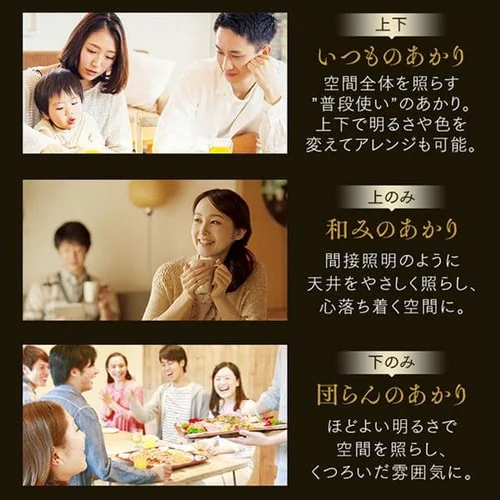 �y�󂠂�z�a���y���_���g���C�g ���^���T�[�L�b�g�V���[�Y 8��㉺���F PLM8DL/DL-J�@_8