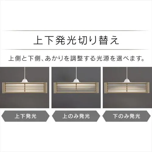 �y�󂠂�z�a���y���_���g���C�g ���^���T�[�L�b�g�V���[�Y 8��㉺���F PLM8DL/DL-J�@_10