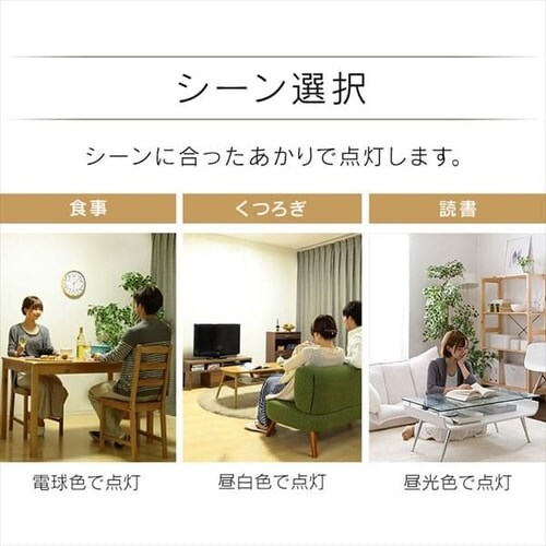 �y�󂠂�z�a���y���_���g���C�g ���^���T�[�L�b�g�V���[�Y 8��㉺���F PLM8DL/DL-J�@_11