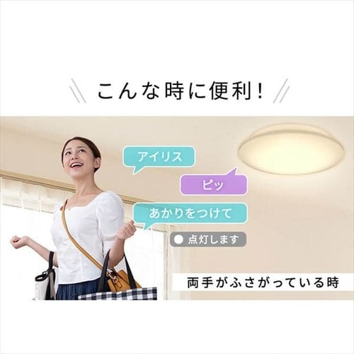 �y�󂠂�zLED�V�[�����O���C�g 6.1 �������� �v���[�� 8�� ���F CL8DL-6.1V_3