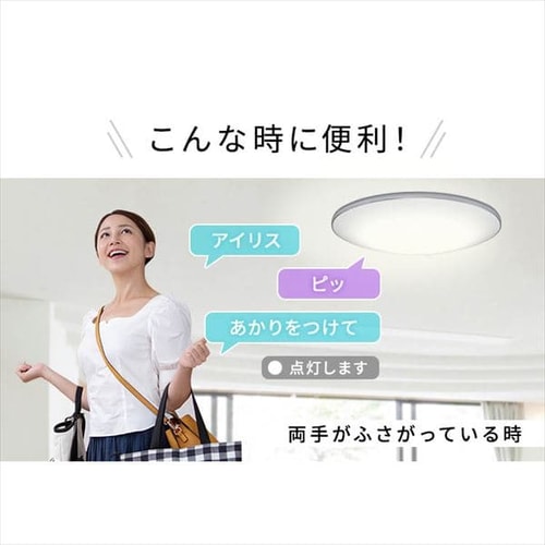 LEDシーリングライト　12畳　音声操作　調光　調色　リモコン付き　上品 LED シーリングライト 12畳 調光 調色 音声操作 工具・工事不要