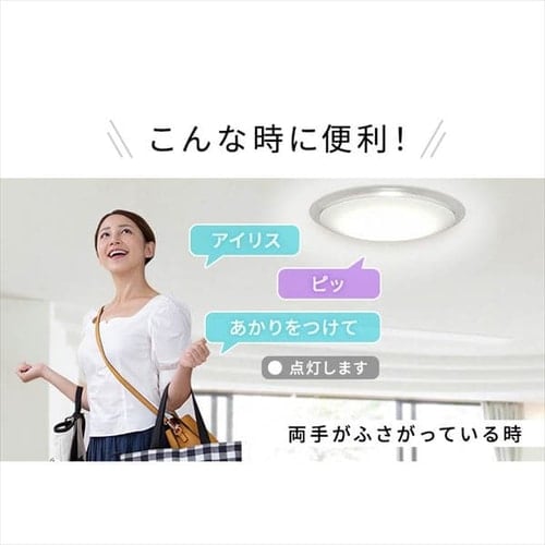 訳あり】シーリングライト LED 6.1シリーズ 音声操作 クリアフレーム 8