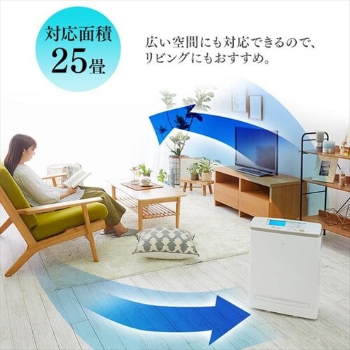 ��C����@ 25�� �ق���Z���T�[ ���j�^�[ �}�C�i�X�C�I�� RMDK-50_9