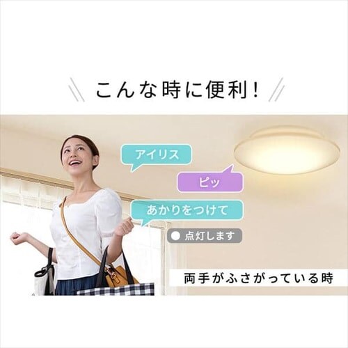 LED�V�[�����O���C�g 5.11 �������� �v���[�� 14�� ���F CL14DL-5.11V_3