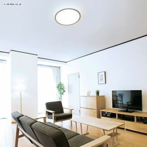 LED �V�[�����O���C�g 12�� ���� ���F �������� �H��E�H���s�v �����R���t�� 5�N�ۏ� CL12DL-5.11WFV-U_5