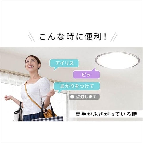 2個セット】 LED シーリングライト 8畳 調光 調色 音声操作 工具・工事