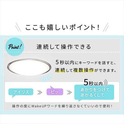 2個セット】 LED シーリングライト 12畳 調光 調色 音声操作 工具