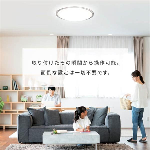 2個セット】 LED シーリングライト 12畳 調光 調色 音声操作 工具