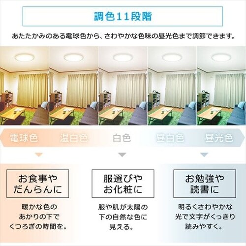 LED �V�[�����O���C�g 12�� ���� ���F AI�X�s�[�J�[ �H��E�H���s�v �����R���t�� 5�N�ۏ� CL12DL-6.0AIT+Google Nest Mini�y������s�z_12