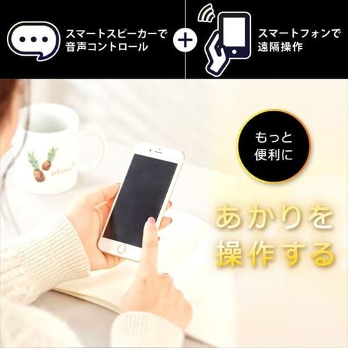 LED電球 E26 広配光 60形相当 冷暖調色 AIスピーカー LDA9D/L-G/D