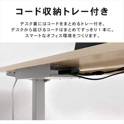 机 電動昇降デスク 幅120cm DST-1200 ホワイト H283486 │アイリス