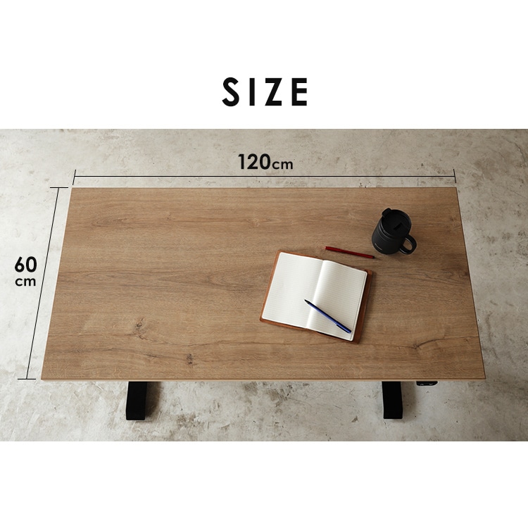 机 電動昇降デスク 幅120cm DST-1200 ホワイト H283486 │アイリス