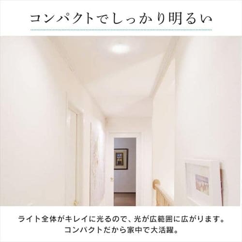 2個セット】シーリングライト LED 小型 600lm 昼白色 玄関 廊下