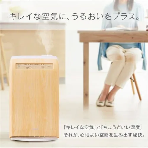 空気清浄機 10畳 加湿空気清浄機 8畳 デザインモデル スチーム式 風量3段階 加湿モード3段階 マイナスイオン RHF-253-WM 白木目_3