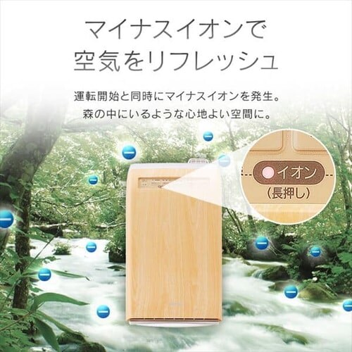 空気清浄機 10畳 加湿空気清浄機 8畳 デザインモデル スチーム式 風量3